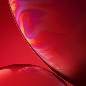 Meet your Posher, Carlos